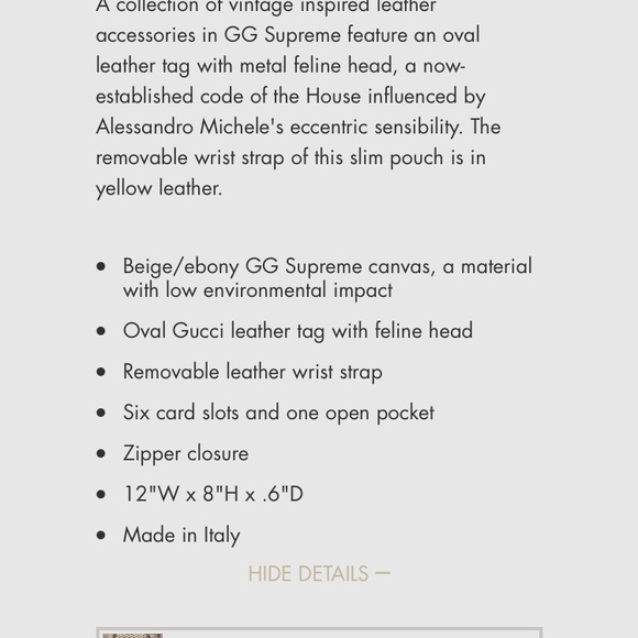 Gucci Pouch - Picture 3 of 5